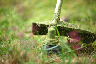 Koszenie trawnika – jak robić to dobrze?